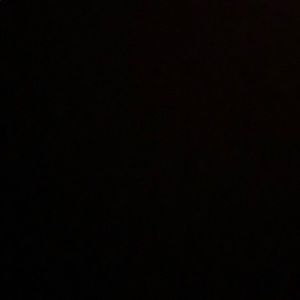 Meet your Posher, Brady